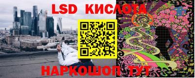 молекула духа Кулебаки