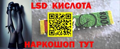 молекула духа Кулебаки