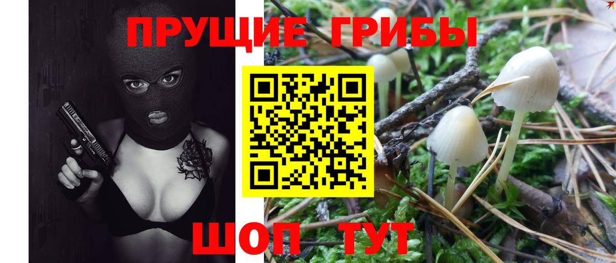 Усинск  купить  сайты  Псилоцибиновые грибы Psilocybe  Вход с VPN  Псилоцибиновые грибы Magic Shrooms 